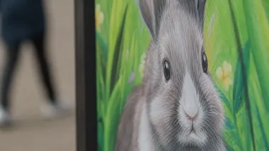 12-latek ze Zgierza wygrał konkurs. Jego plakat trafił na przystanki