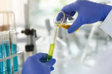W laborancie w niebieskich rękawiczkach przelewa żółty płyn z kolby do probówki, obok stoją probówki z niebieskim płynem.